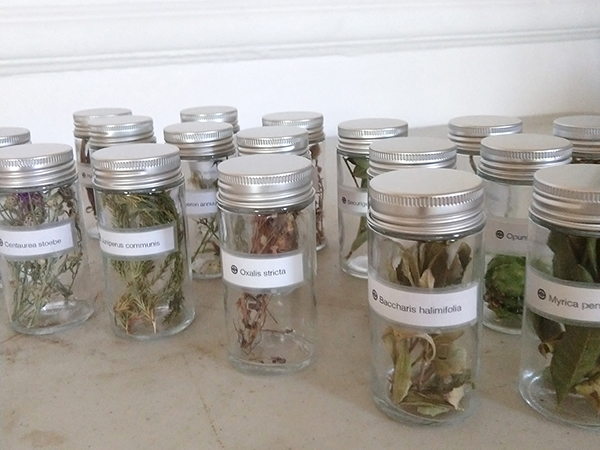 apothecary apothecary