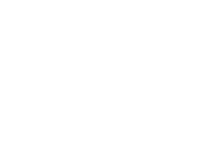 flux factory logo